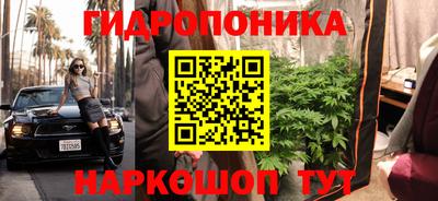 шишки Кулебаки